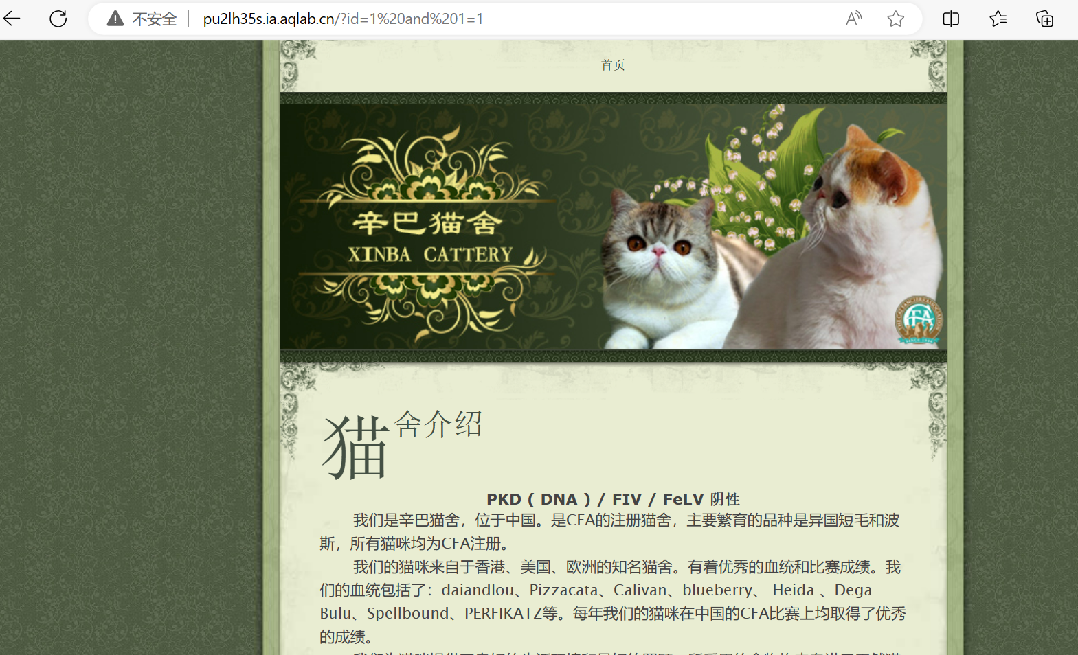 This is an test image