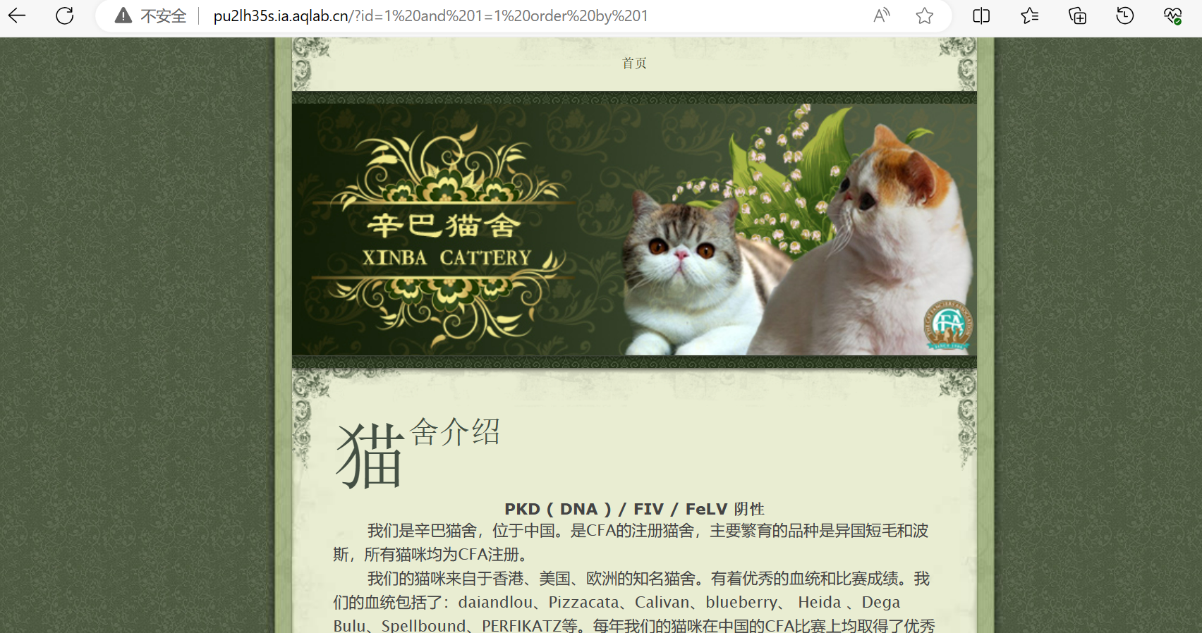This is an test image
