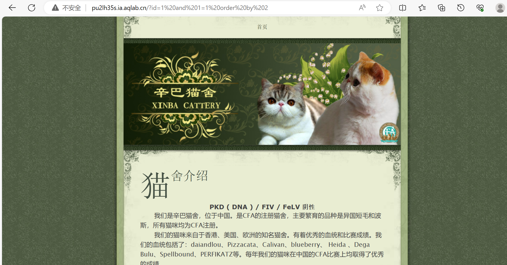 This is an test image