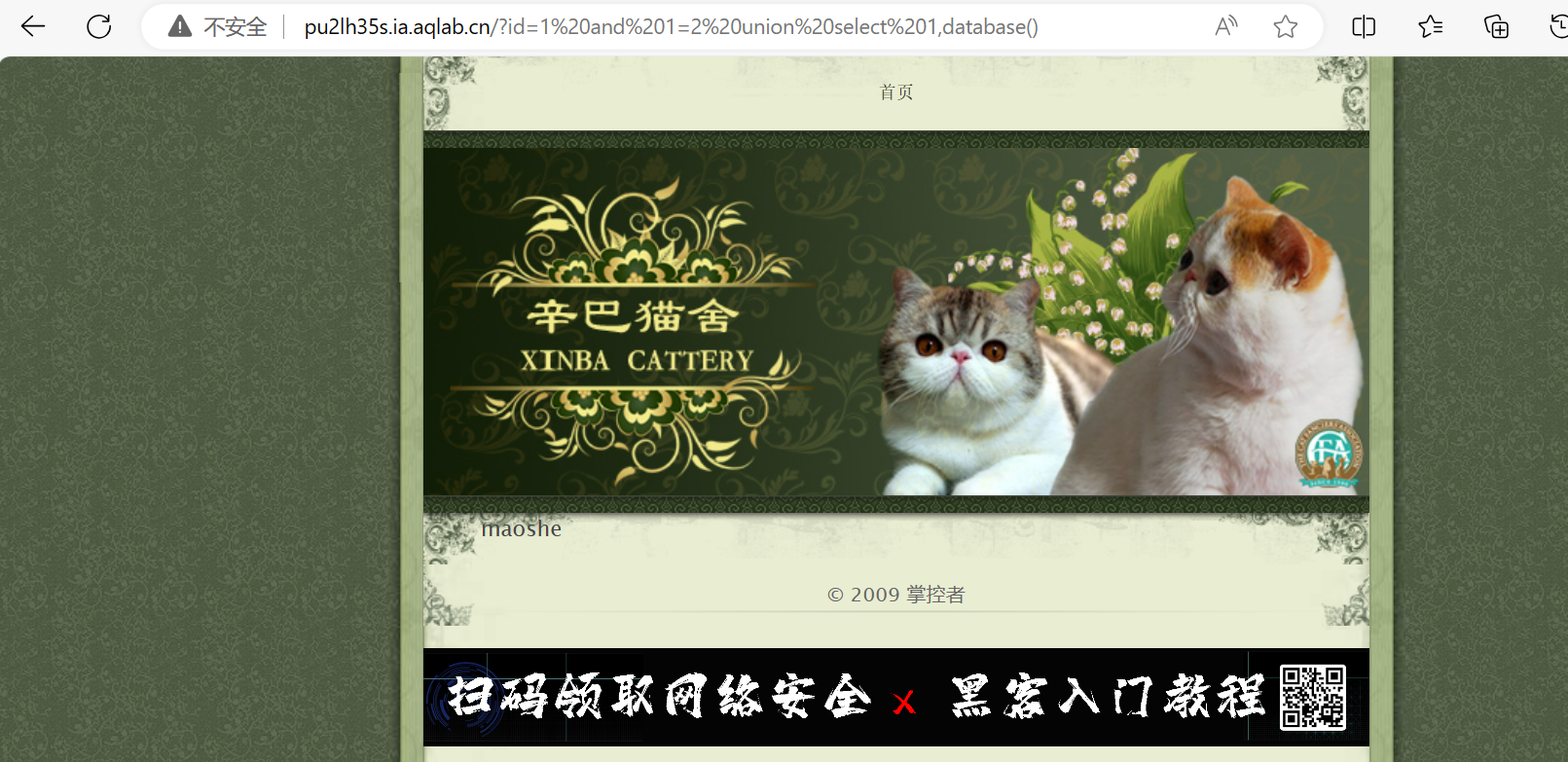 This is an test image