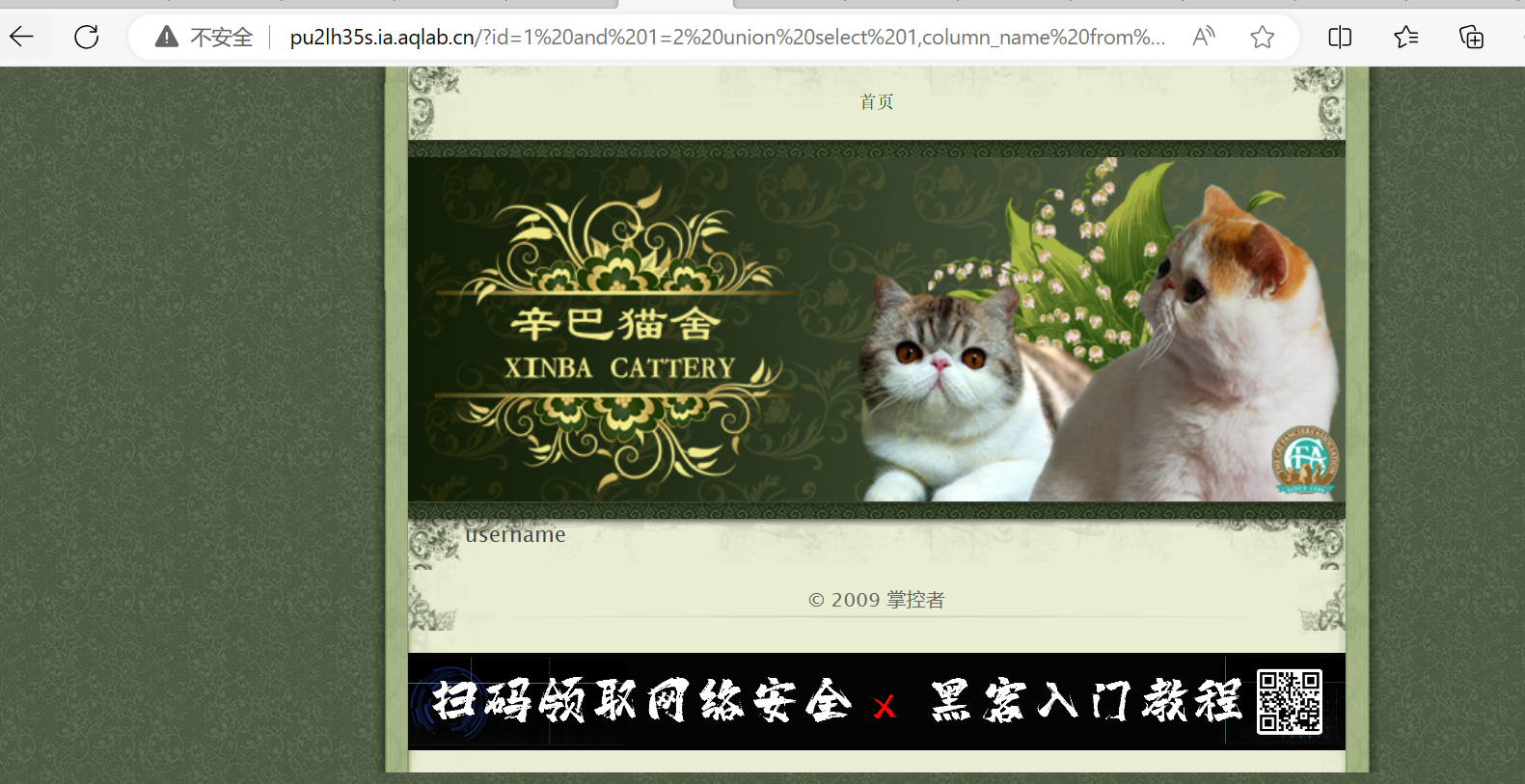 This is an test image