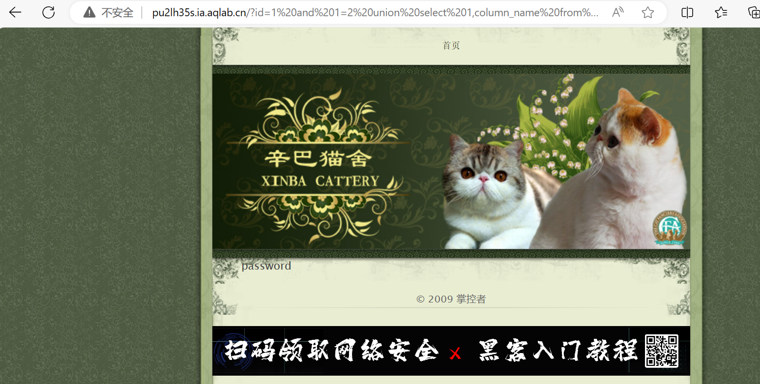 This is an test image
